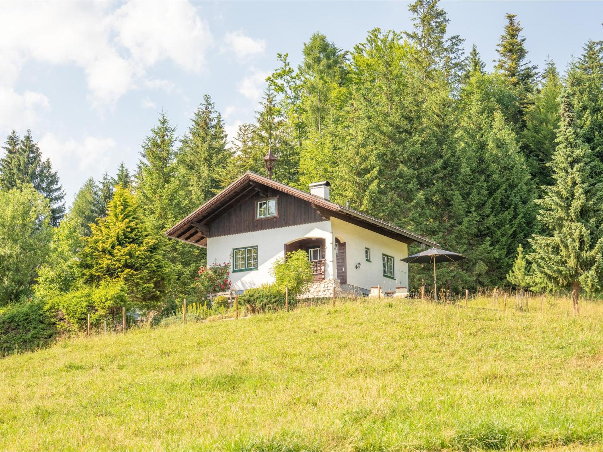 Strickerl Bad Goisern Exterior foto